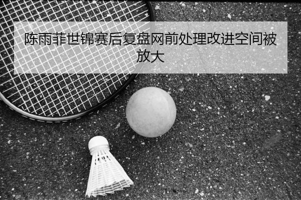陈雨菲世锦赛后复盘网前处理改进空间被放大